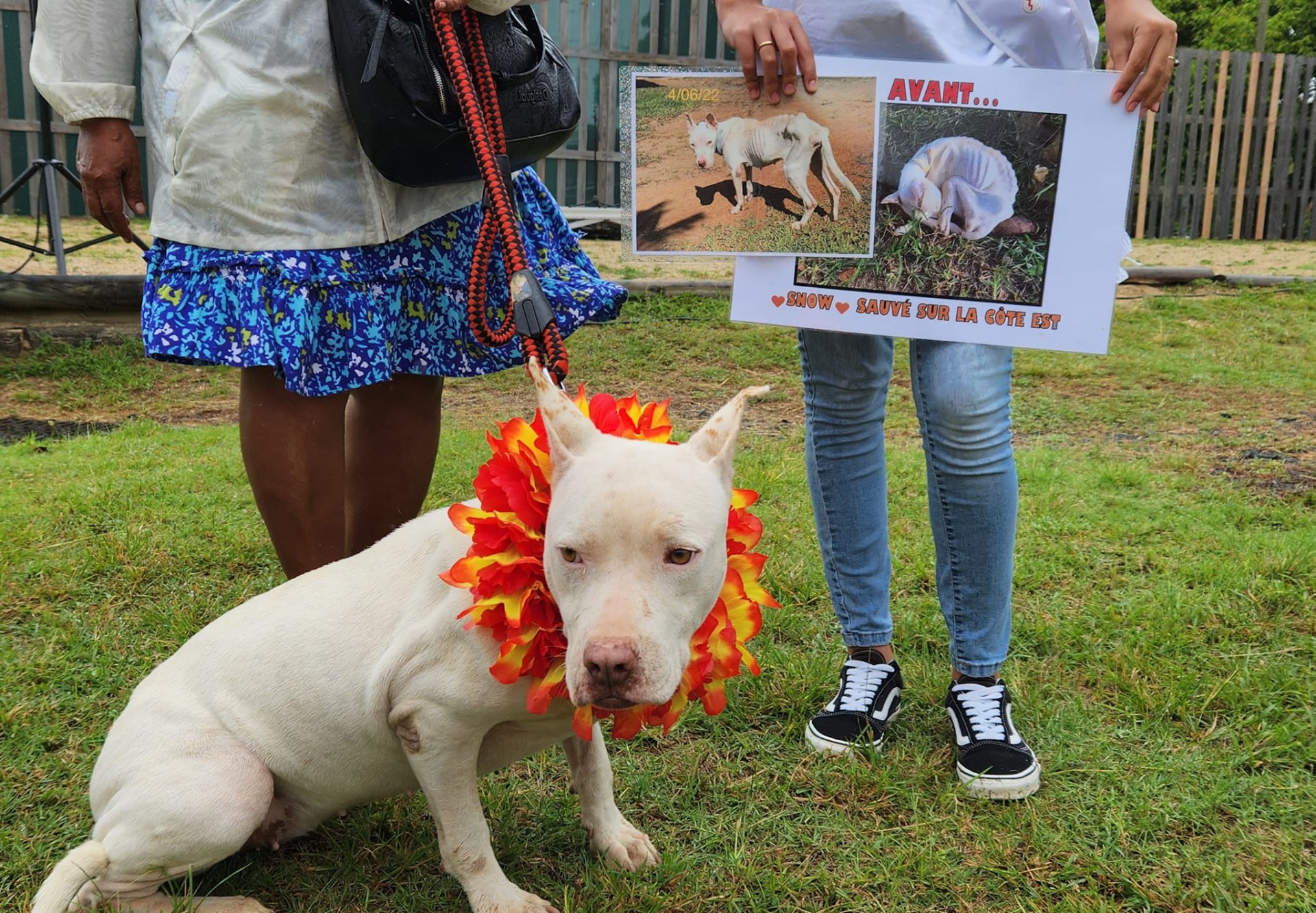 A l'adoption