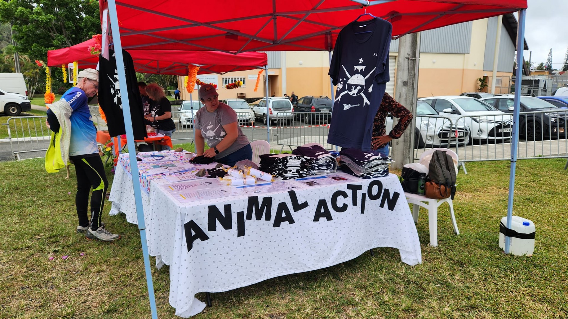 Animal Action