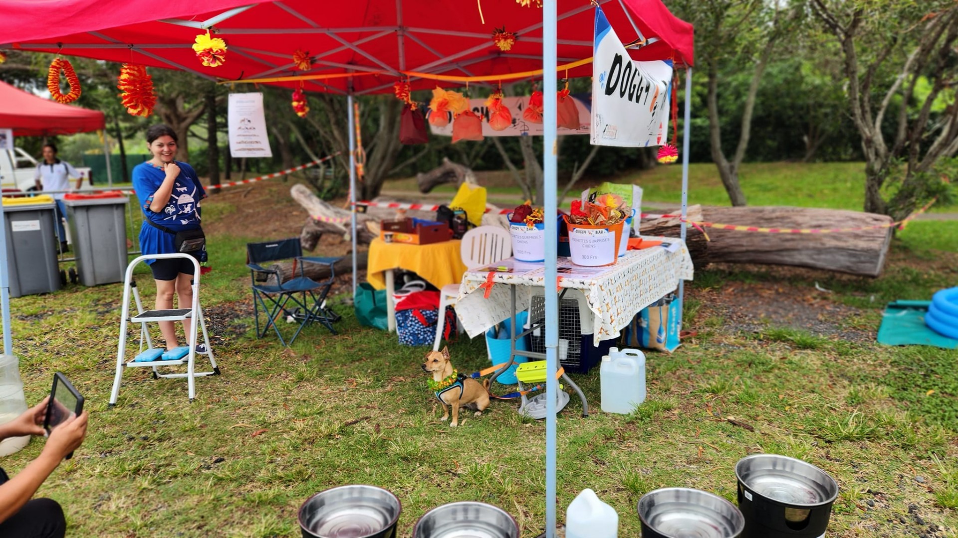 Doggy bar