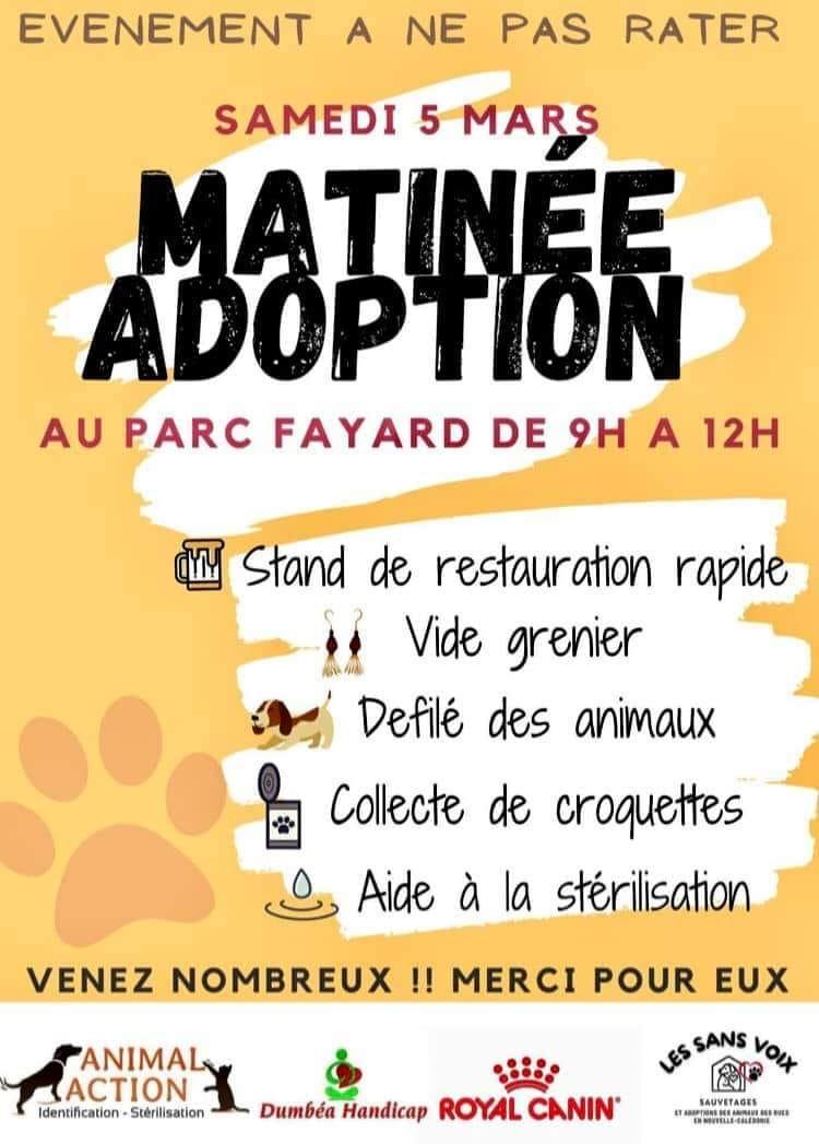 Matinee adoption 5 mars 2022